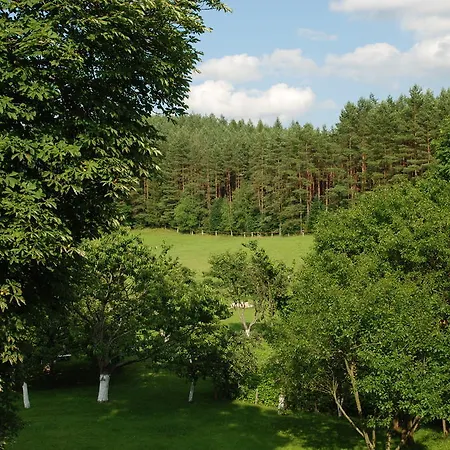 Nad Wąglem Apartament